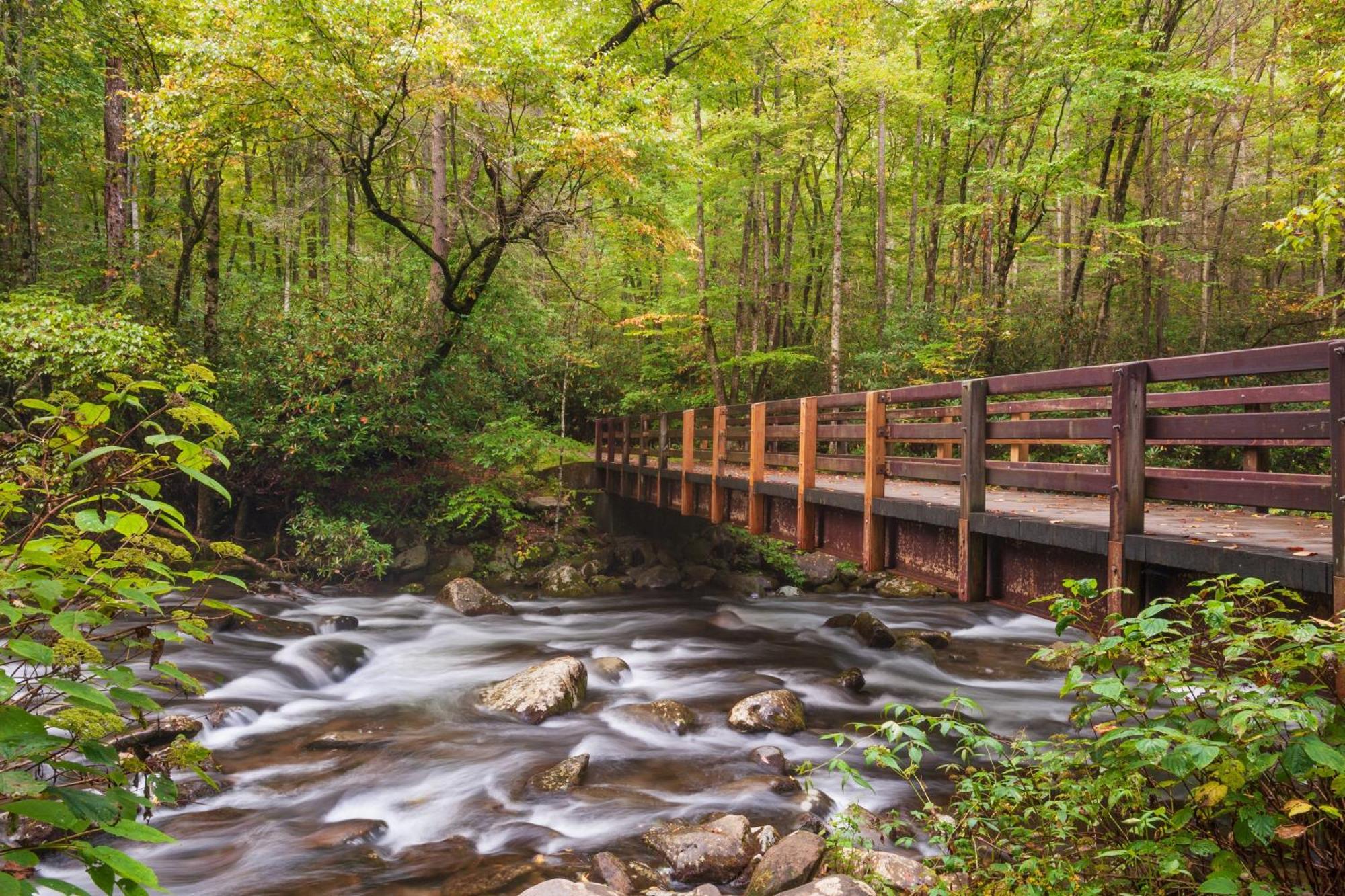 Mountain Eden, Hot Tub, Resort Pool, Wifi, 1089 Free Tickets Each Paid Day, Dollywood And More Gatlinburg Eksteriør billede
